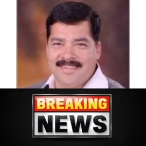 लोहाघाट विधानसभा के अंतर्गत आने वाली पाटी नगर पंचायत में निर्दलीय उम्मीदवार की जीत, कांग्रेस तीसरे स्थान पर